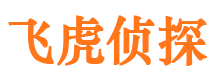 青山市婚姻调查